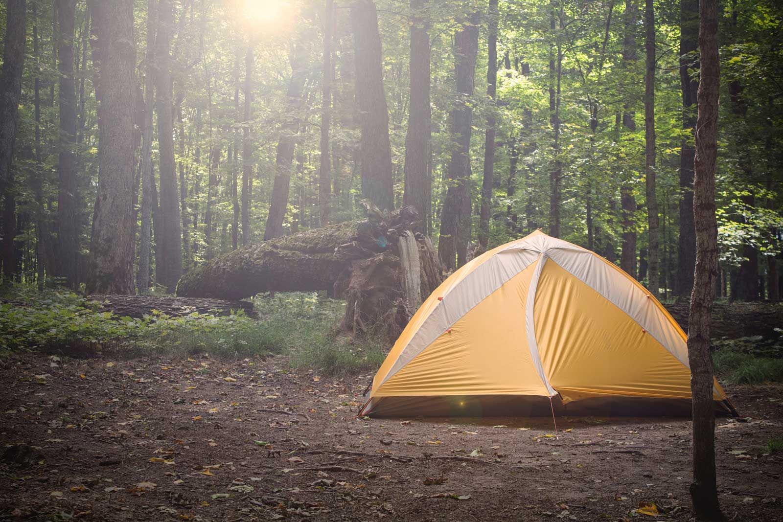 Preview of the Sports & Outdoor collection